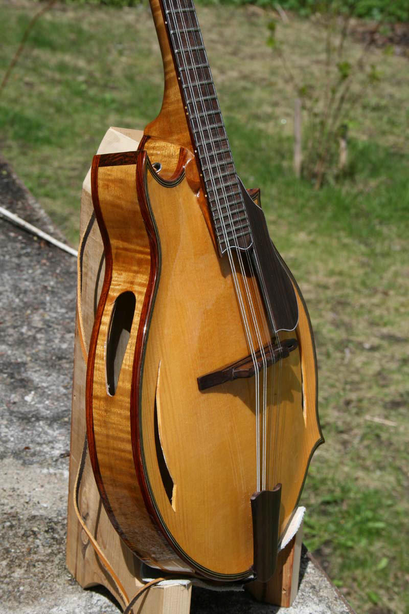 to Proulx Guitars & Mandolins!